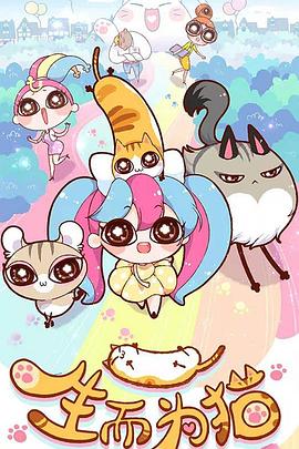 seo优化系统代理